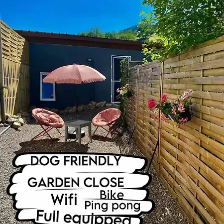 Petite Maison Au Calme Avec Jardin Cloture Les Animaux Bienvenue Mollau Exterior foto