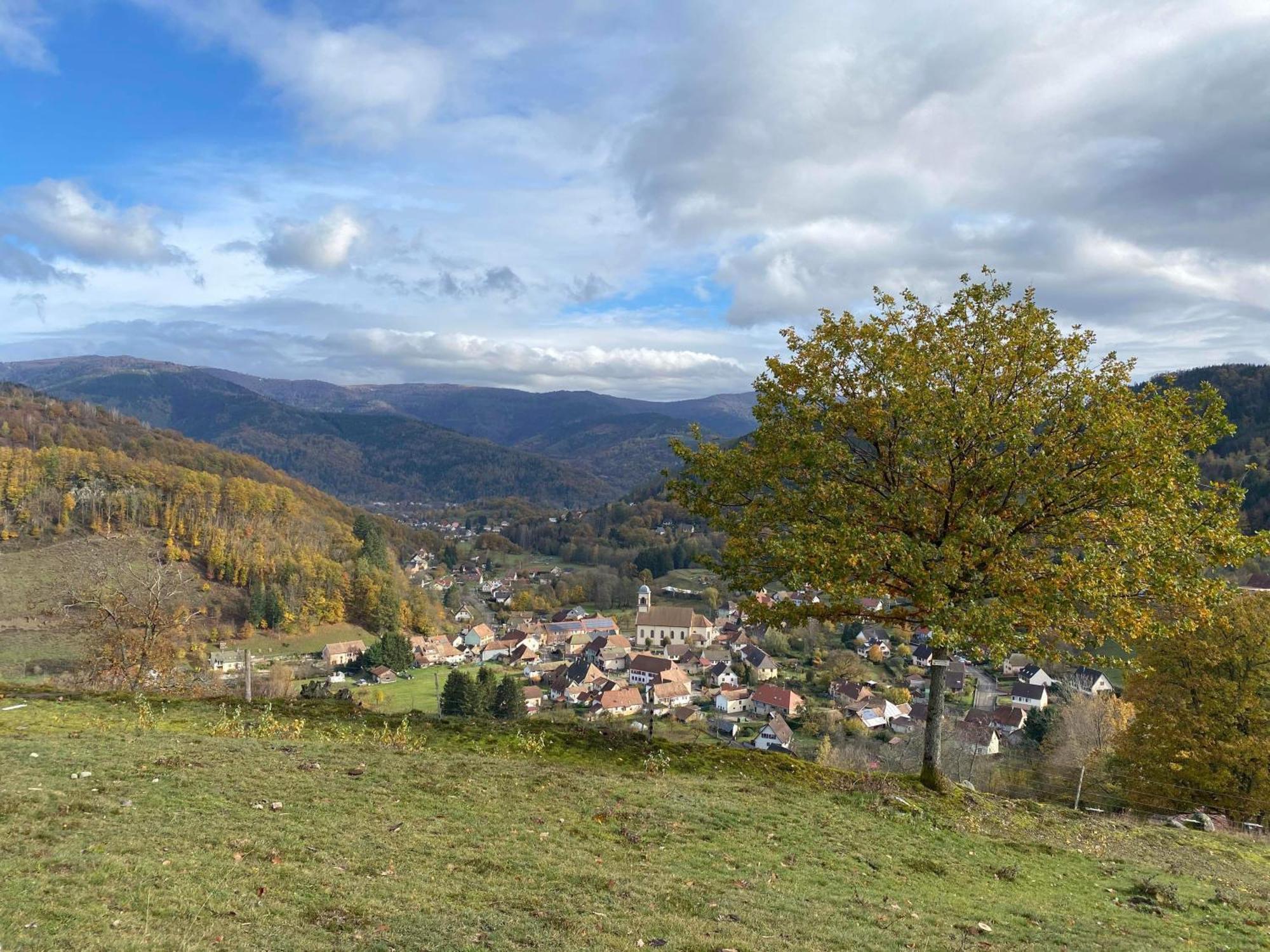 Petite Maison Au Calme Avec Jardin Cloture Les Animaux Bienvenue Mollau